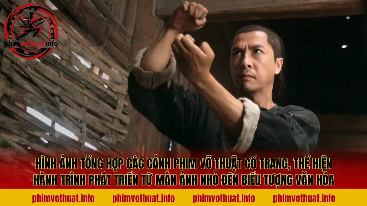 Hình ảnh tổng hợp các cảnh phim võ thuật cổ trang, thể hiện hành trình phát triển từ màn ảnh nhỏ đến biểu tượng văn hóa