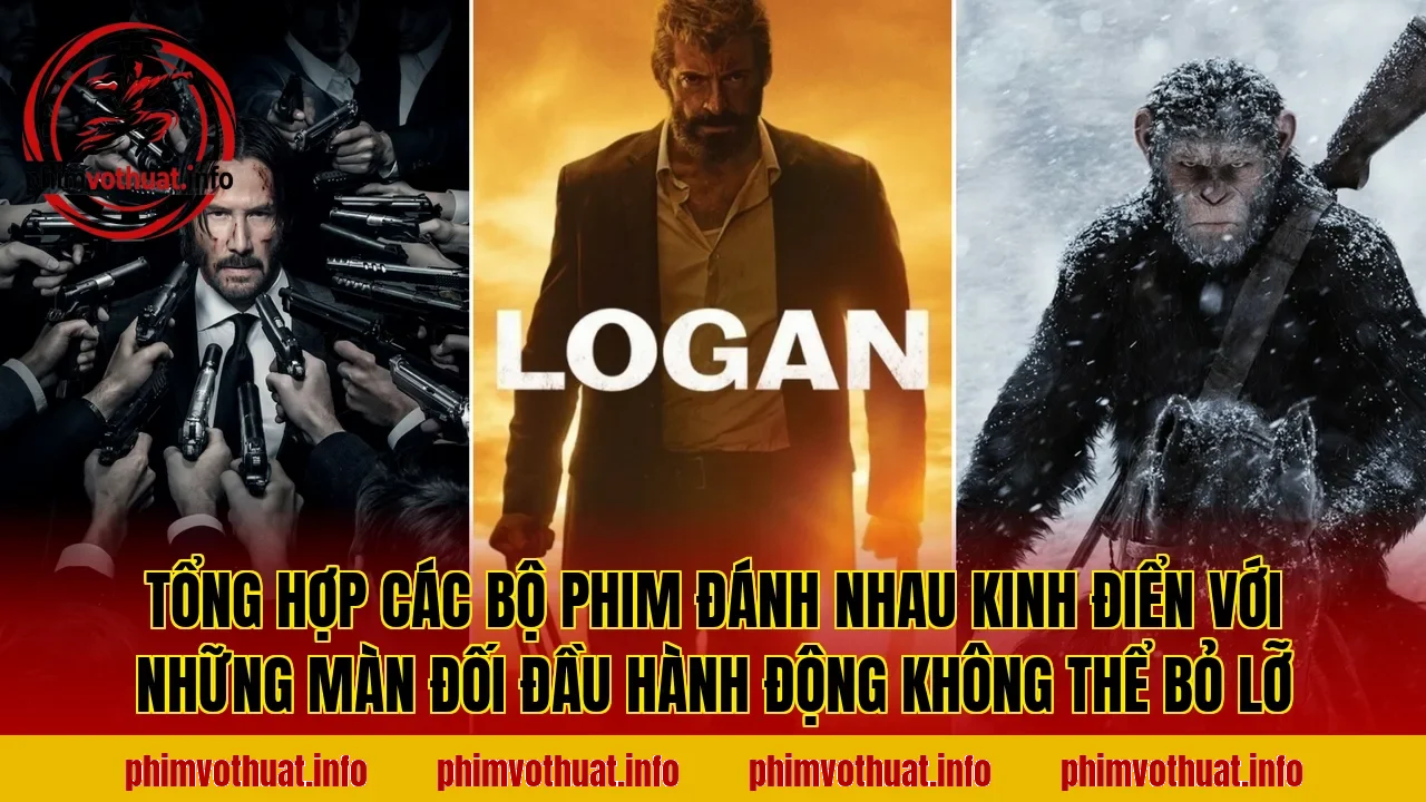 Tổng hợp các bộ phim đánh nhau kinh điển với những màn đối đầu hành động không thể bỏ lỡ