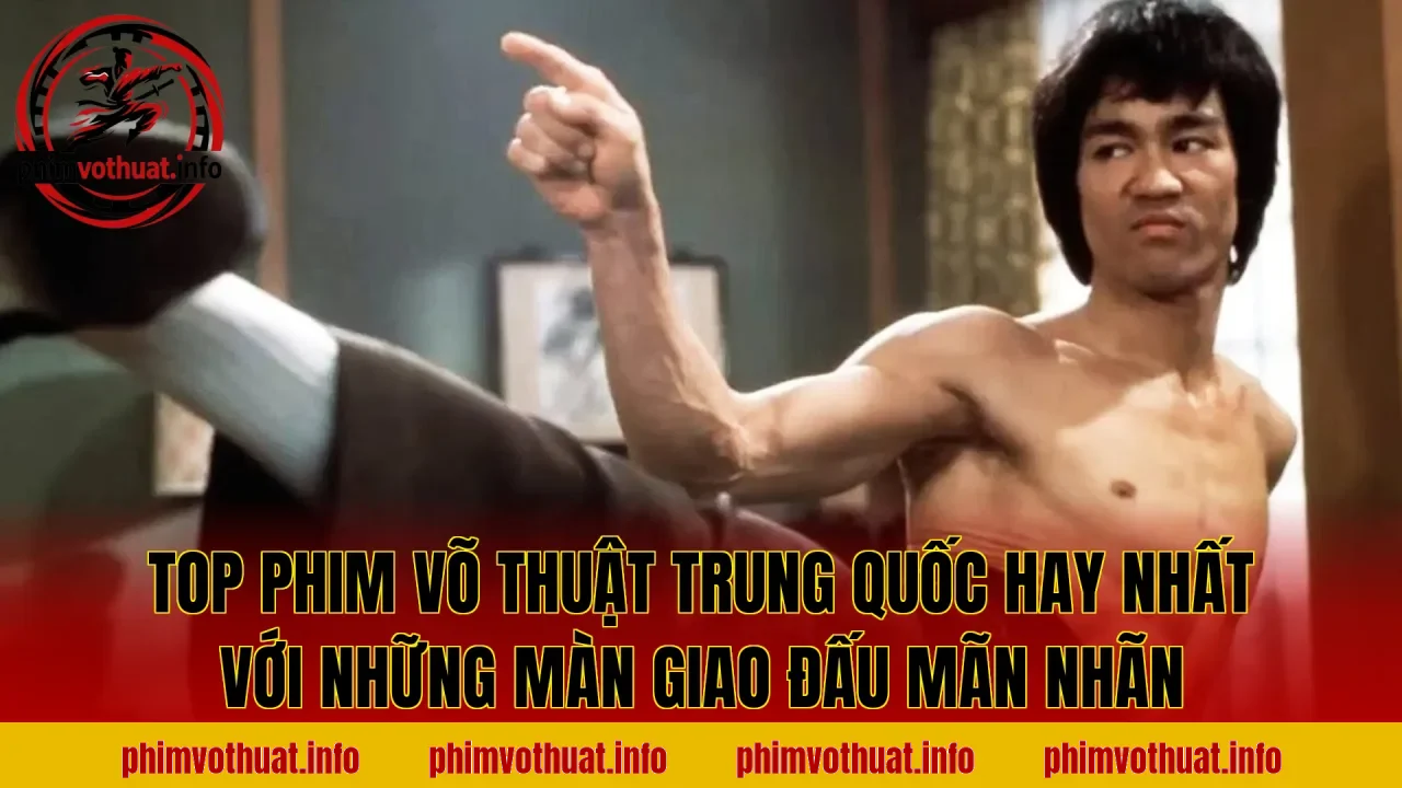 Top phim võ thuật Trung Quốc hay nhất với những màn giao đấu mãn nhãn