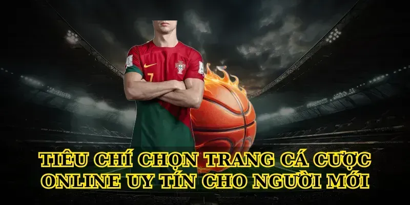 Tiêu chí chọn Trang cá cược online uy tín cho người mới