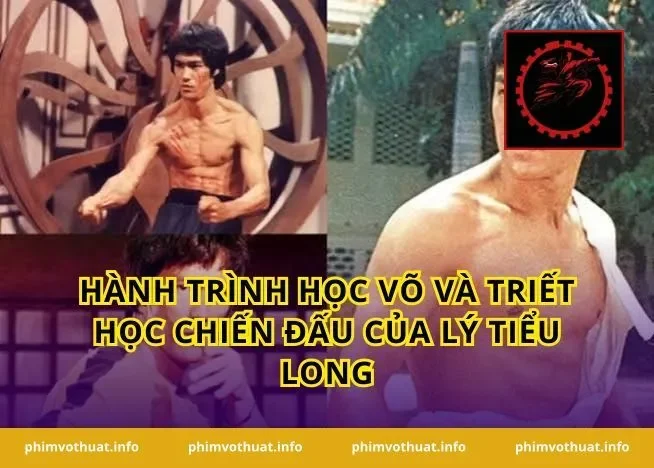 Hành Trình Học Võ Và Triết Học Chiến Đấu Của Lý Tiểu Long